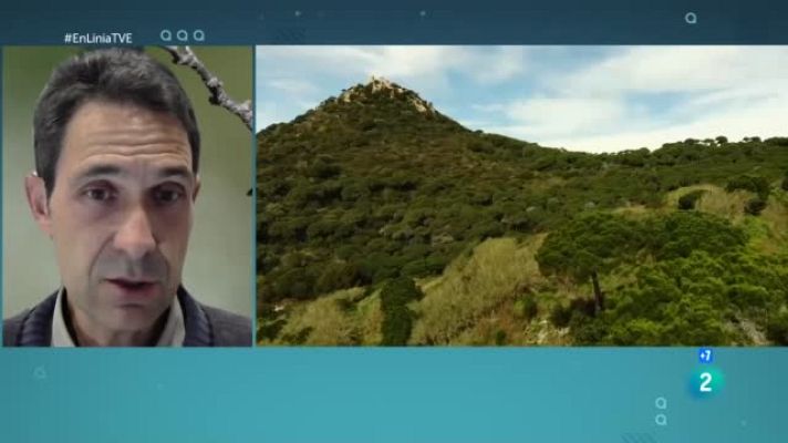 En Línia - La ciència demostra que escoltar els ocells és bo per la salut