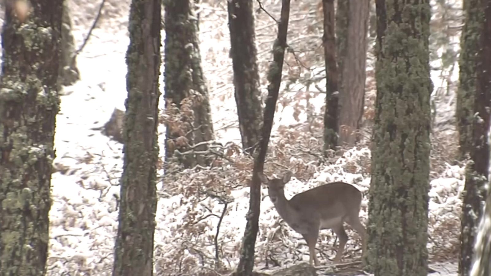 La tarde en 24 horas - 23/11/21 (1) - ver ahora