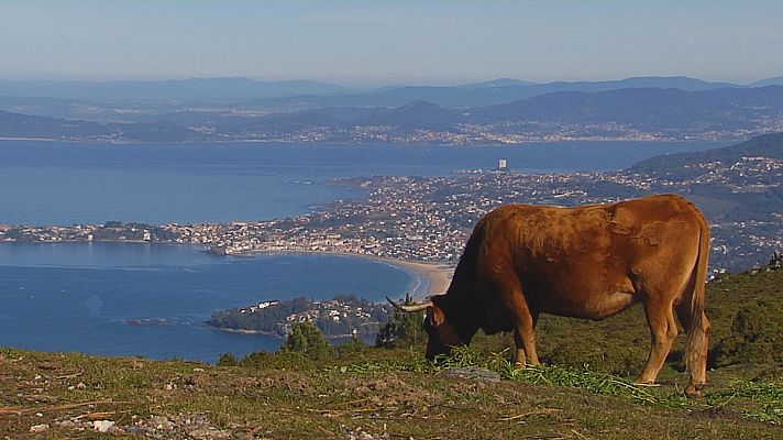 Telexornal - Galicia - Baixo Miño e Val Miñor, contra os proxectos eólicos na serra da Groba