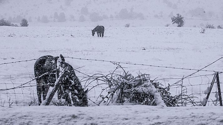 Telediario 1 - El temporal de lluvia y nieve continúa y deja estragos en toda la península