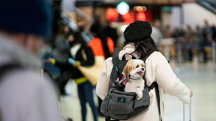 Telediario 1 - Éxodo en EE.UU. por Acción de Gracias pese a los rebrotes