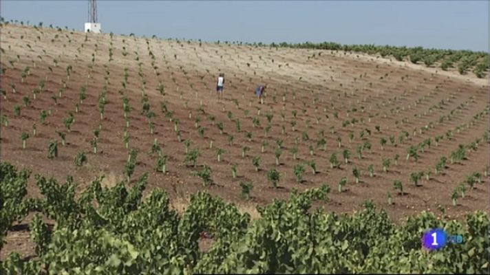 Noticias de Extremadura - Reacciones a la nueva PAC