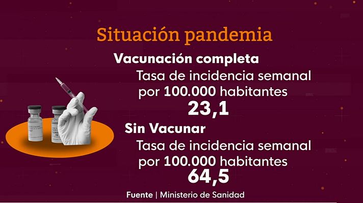 La tarde en 24h - La tarde en 24 horas - 24/11/21 (2)