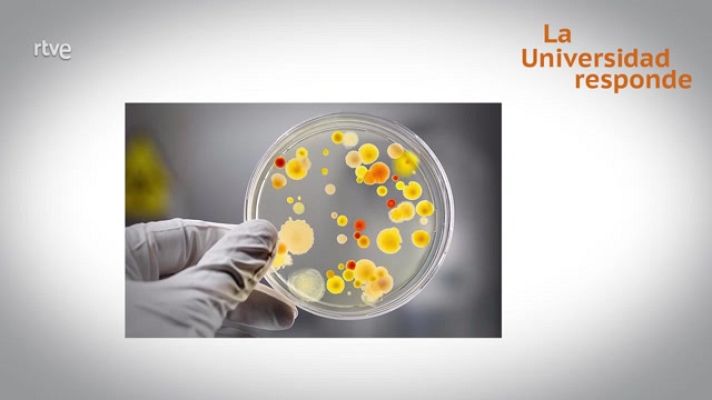 La aventura del Saber - ¿Qué es la resistencia a los antibióticos?