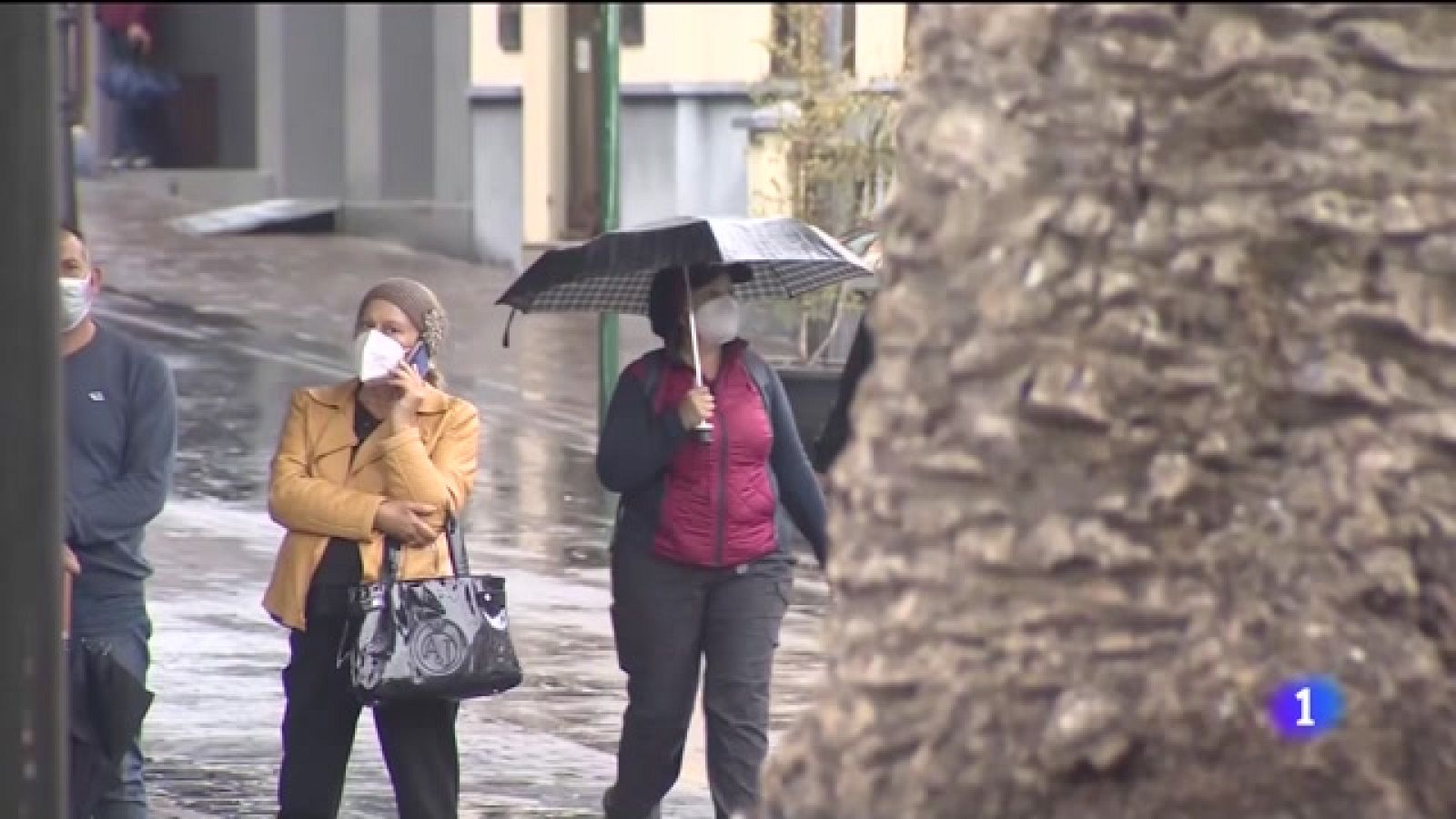 Telecanarias - 25/11/2021