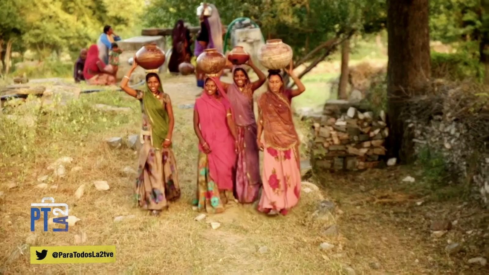 Fundación de Seguridad Ecológica (FES) en la India