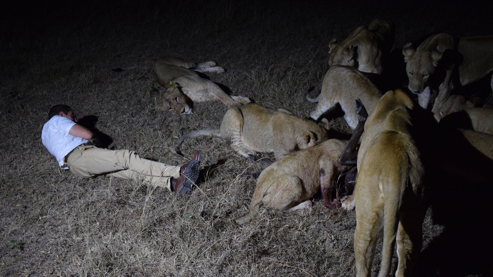 El rey de la sabana - Episodio 3: 3.000 noches con leones - ver ahora