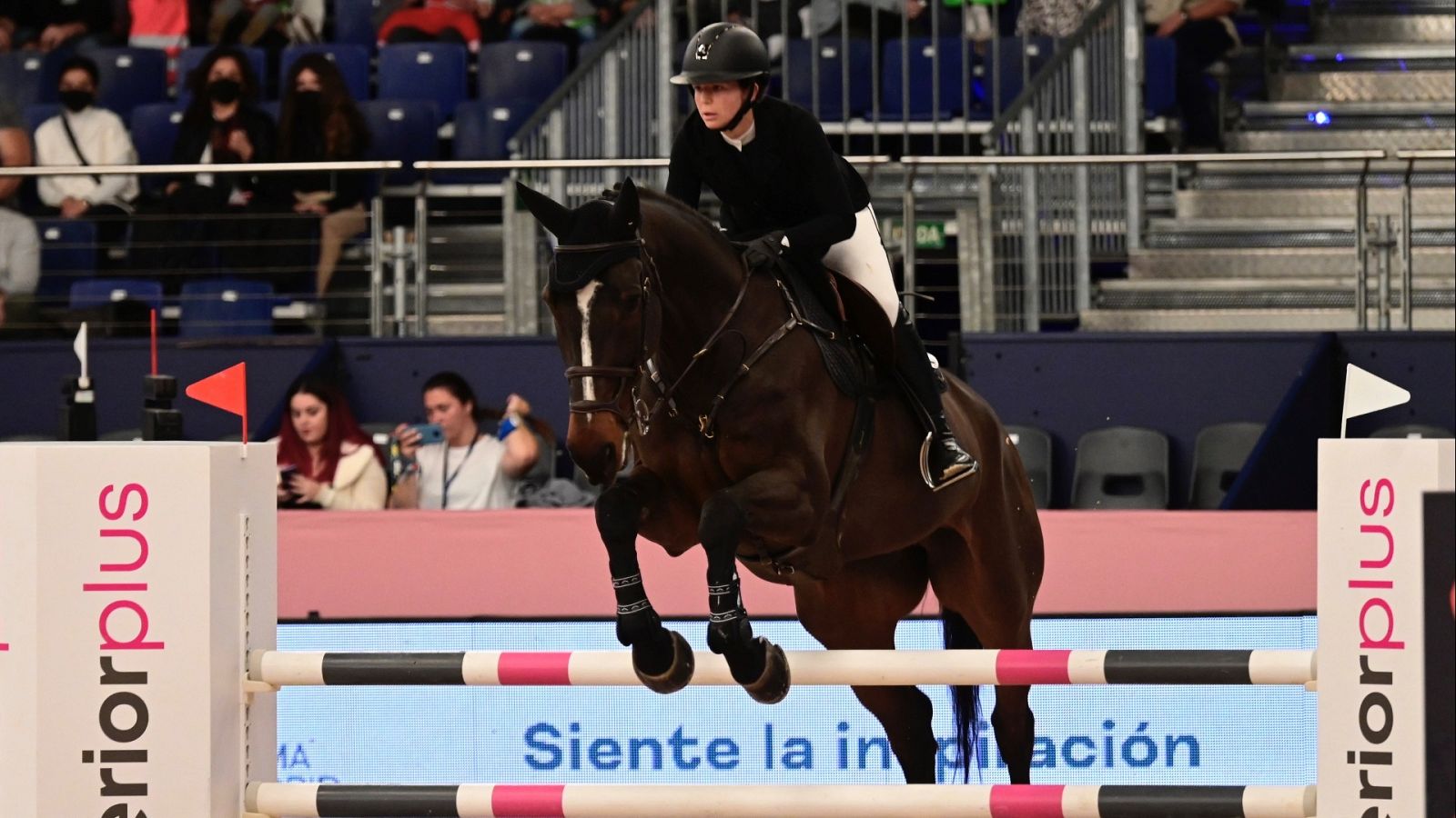 Hípica - Concurso de saltos Madrid Horse Week. CSI 5* "Trofeo Estrella Damm" - ver ahora