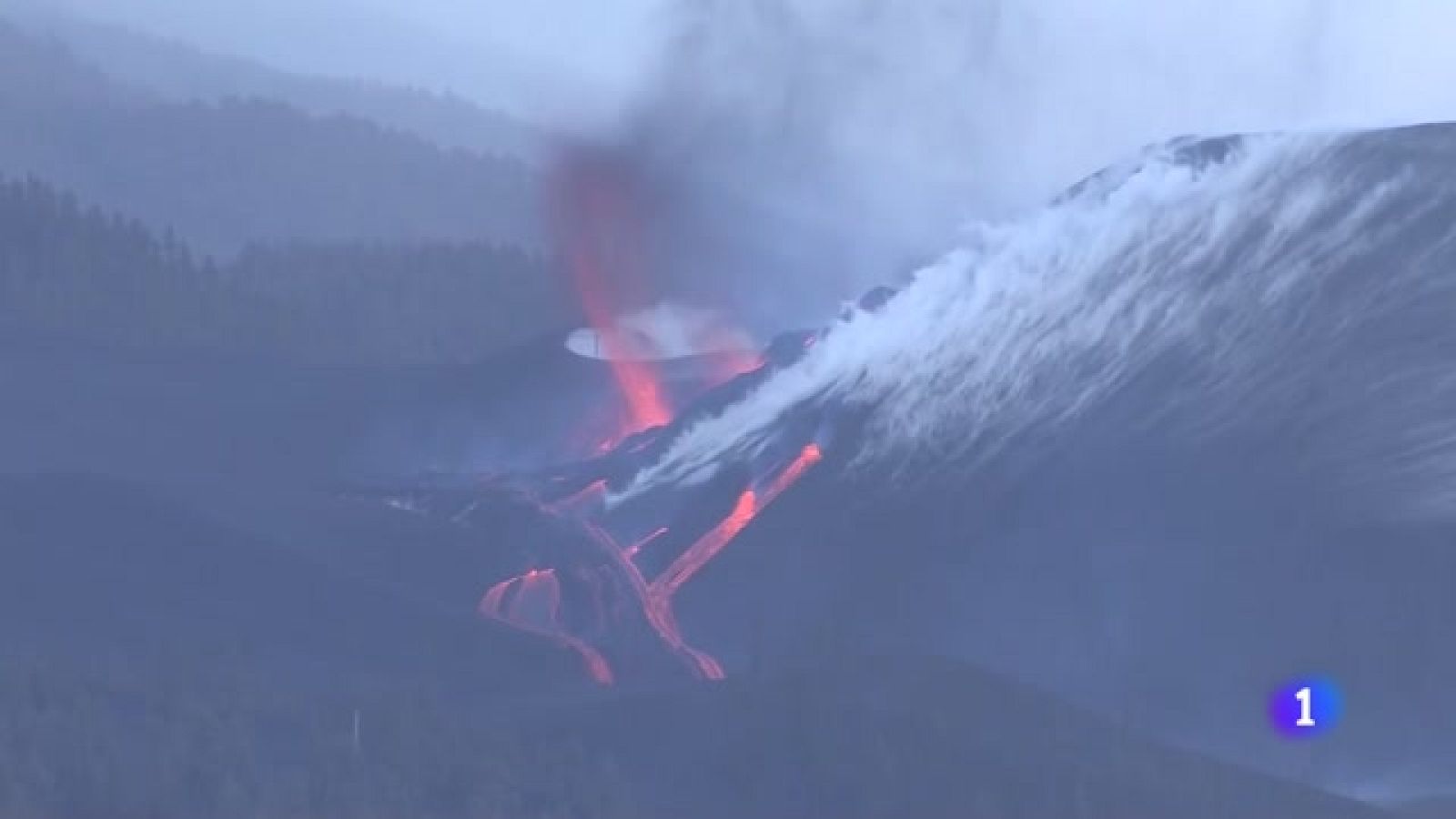 Telecanarias - 28/11/2021