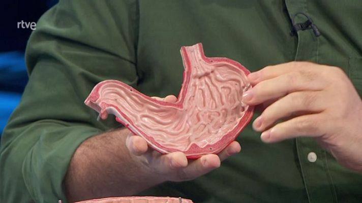 La aventura del Saber - Los problemas de estómago, con el Dr. Romero