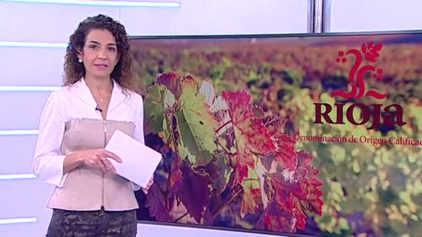 Informativo Telerioja 2 - 29/11/21