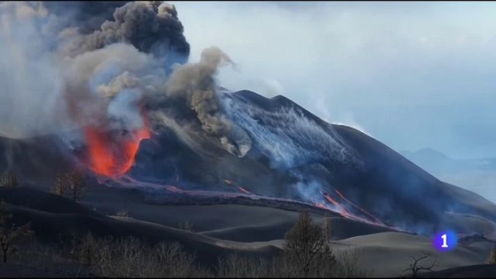 Telecanarias - Telecanarias - 29/11/2021
