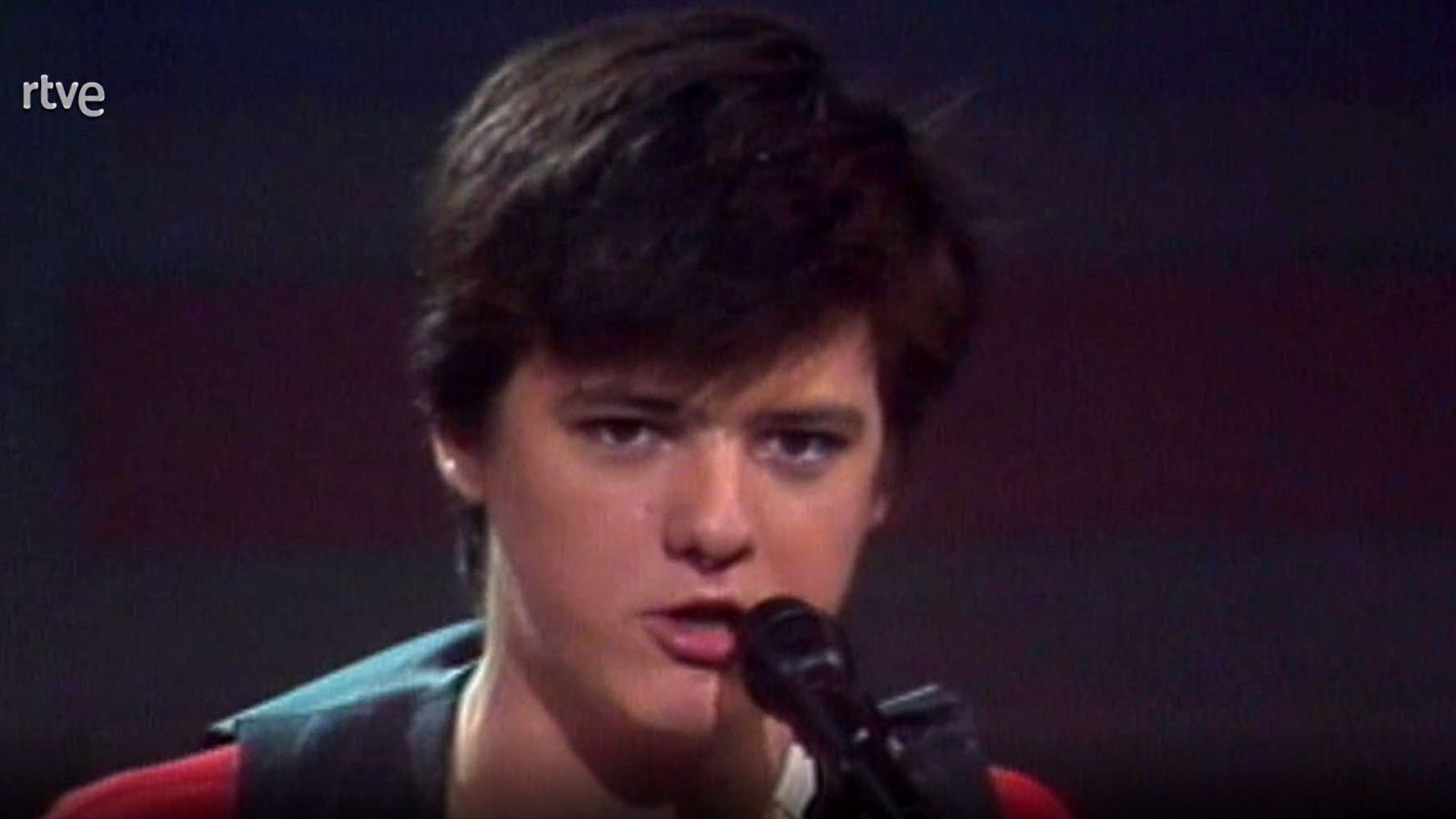 Viaje al centro de la tele - Viva el rock, grandes éxitos - ver ahora