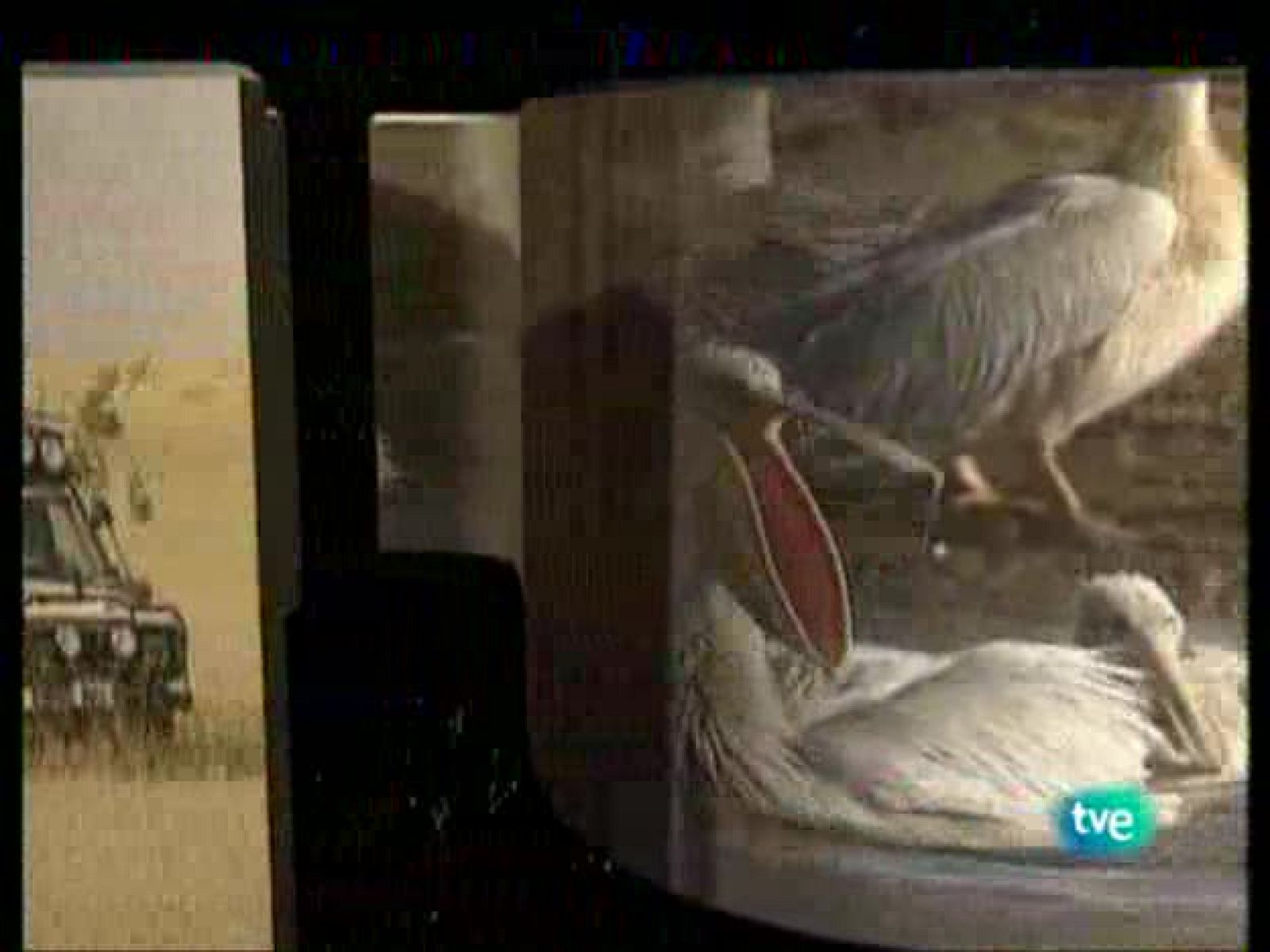 La ruta de los exploradores - La selva de un hombre bueno - La ruta de los exploradores | Ver