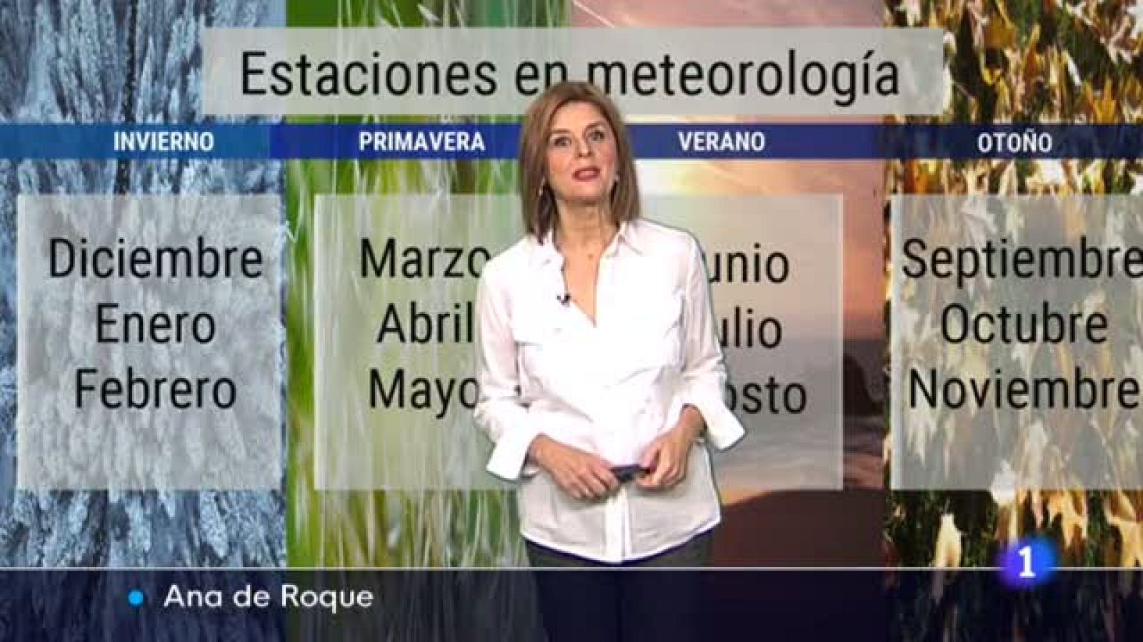 El tiempo en Castilla y León - 01/12/21 - Ver ahora