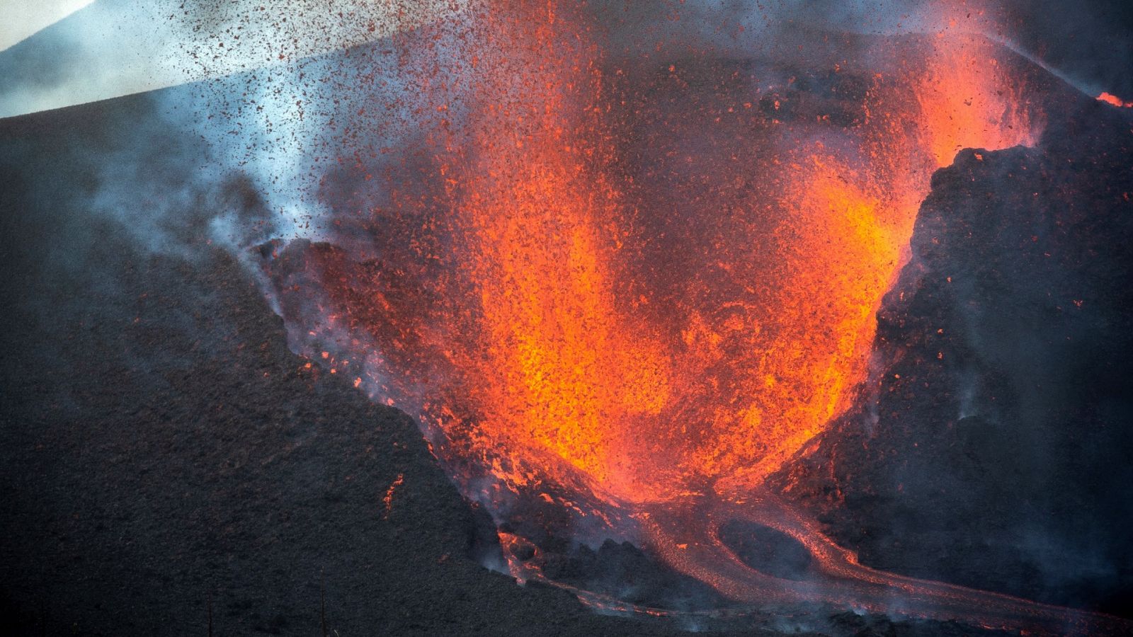 Diario 24 - 02/12/21 (1) - ver ahora