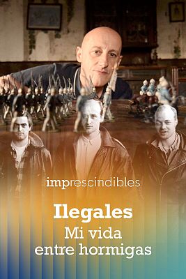 Ilegales. Mi vida entre las Hormigas