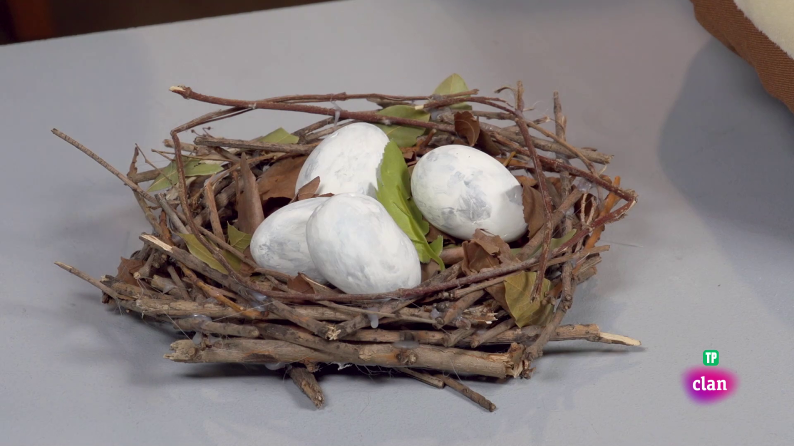 CIENCIAS NATURALES - Casas de animales - Aprendemos en Clan | Ver