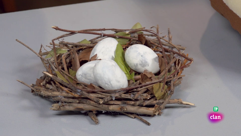 CIENCIAS NATURALES - Casas de animales - Aprendemos en Clan | Ver