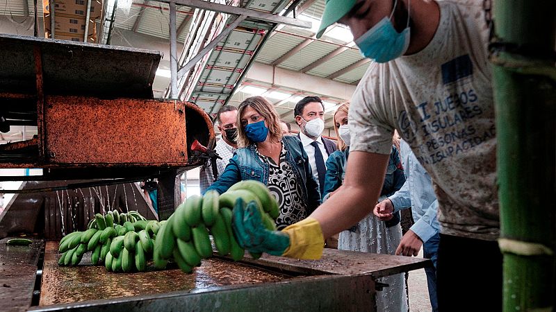 La reforma de Ley de Cadena Alimentaria obligará a pagar los costes de producción