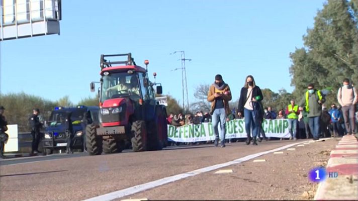 Noticias de Extremadura - Protesta del campo extremeño por los bajos precios