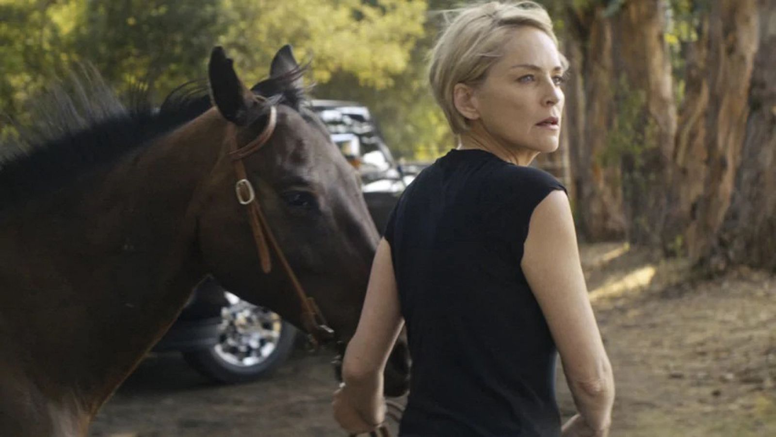 Sesión de tarde - El galope salvaje - Ver ahora