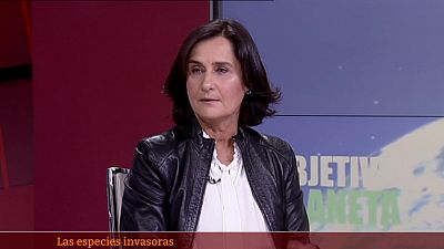 Especies exóticas invasoras