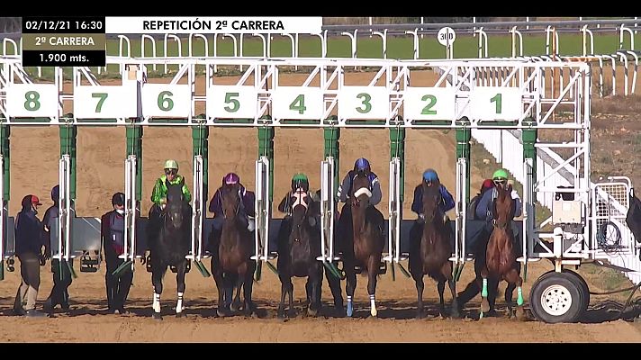 Hípica - Circuito nacional carreras de caballos (Hipód. Dos Hermanas)