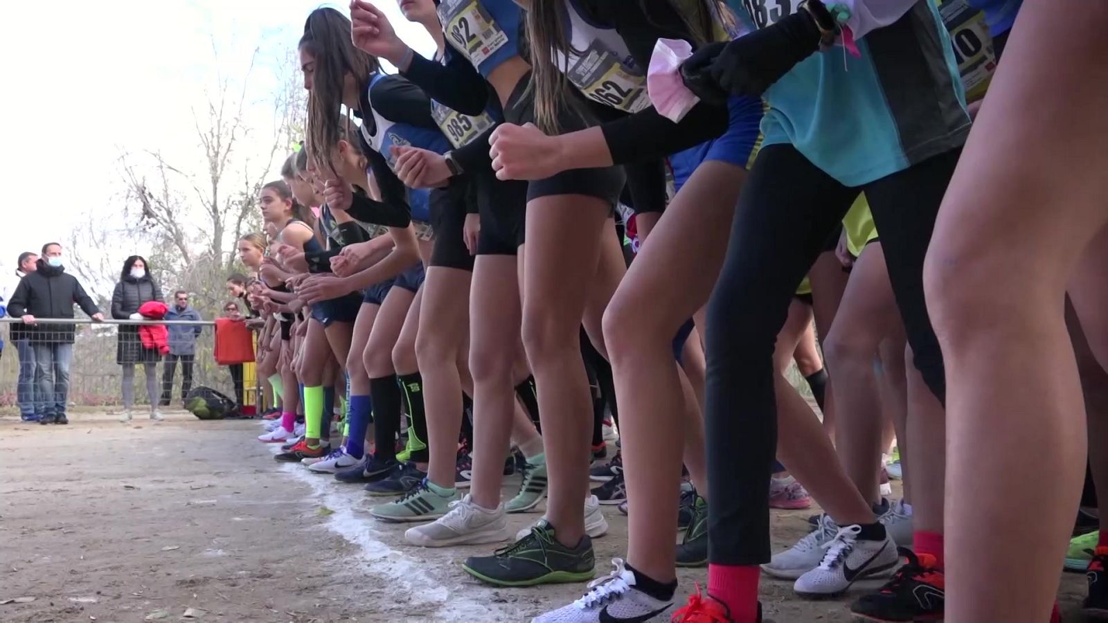 Cross - Cross internacional de Alcobendas 2021. Resumen - ver ahora