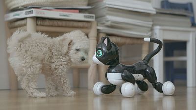 ¡AI, AI, AI! Inteligencia artificial