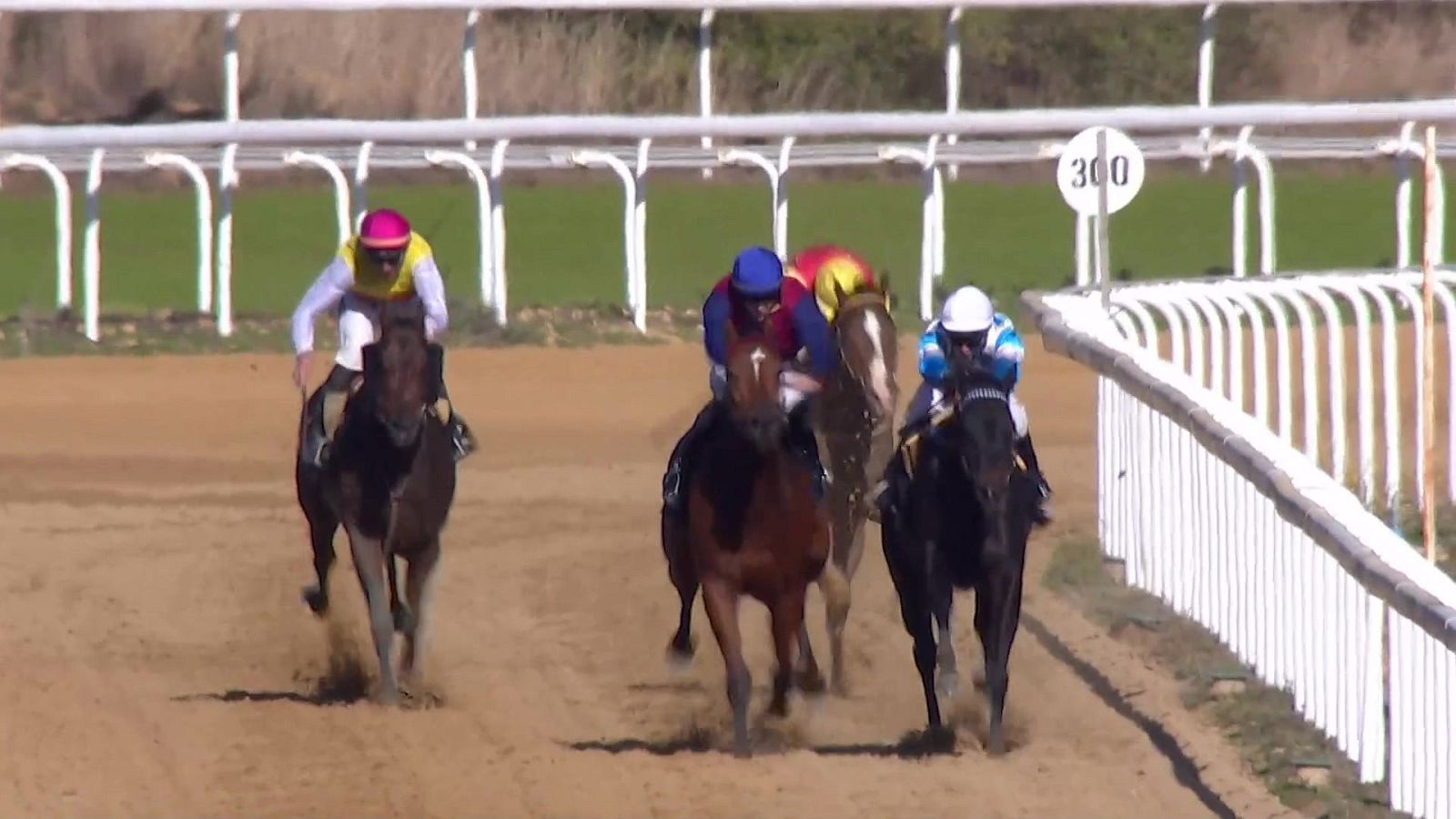 Hípica - Circuito nacional de carreras de caballos desde el Hipódromo de Dos Hermanas (Sevilla) - ver ahora