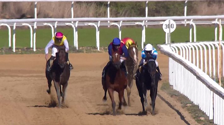 Hípica - Circuito nacional carreras de caballos (Hipód.Dos Hermanas)