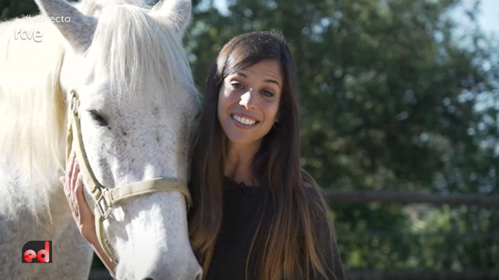 España Directo - Descubrimos la equitación conectada