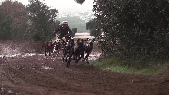 Otros deportes - Mushing Tierra - Copa de España
