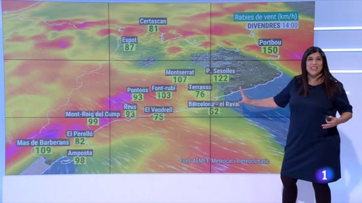 El temps - Divendres: vent fort i més neu. Cap de setmana més tranquil