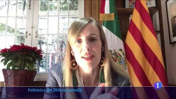 L'Informatiu - La Generalitat portarà a Europa les sentències sobre el català a l'escola