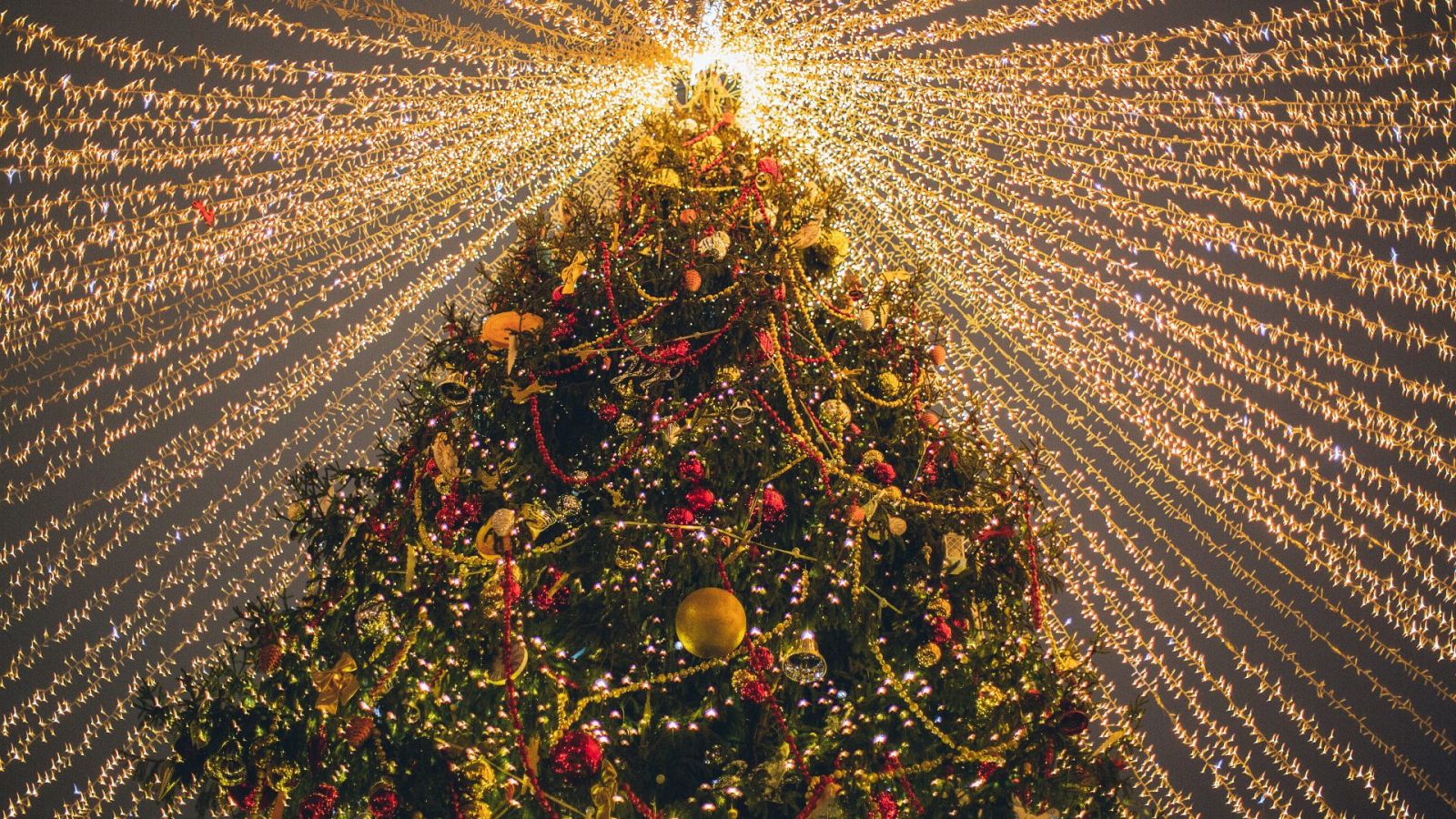 Los árboles de navidad más espectaculares y lujosos de Madrid