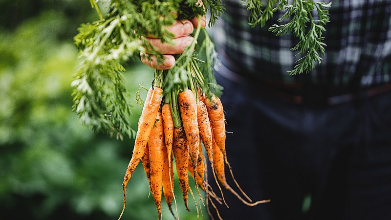 El sector primario, en dificultades por la subida de las materias primas