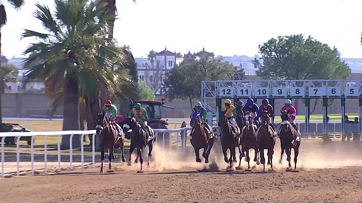 Hípica - Circuito nacional carreras de caballos (Hipód. Pineda)