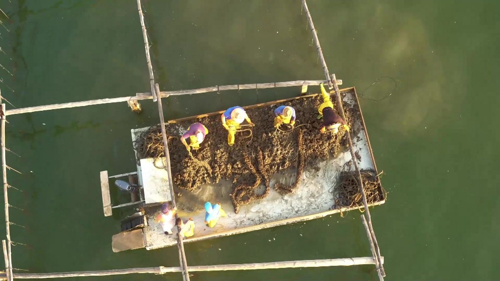 Aquí hay trabajo - 13/12/21 - ver ahora