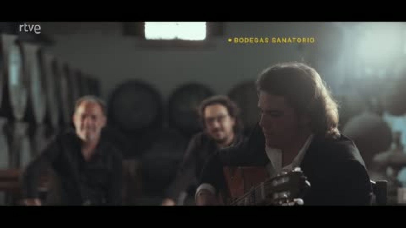 Actuación de Rancapino chico en el primer capítulo de 'caminos del flamenco' dedicado a Cádiz y sus puertos