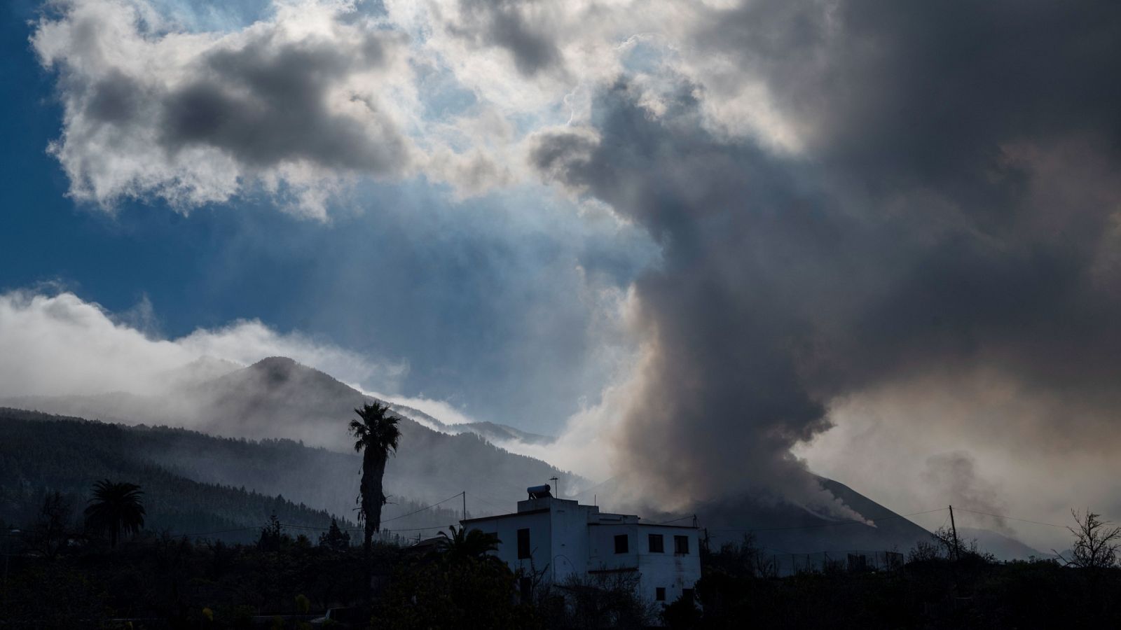 Diario 24 - 13/12/21 (2) - ver ahora