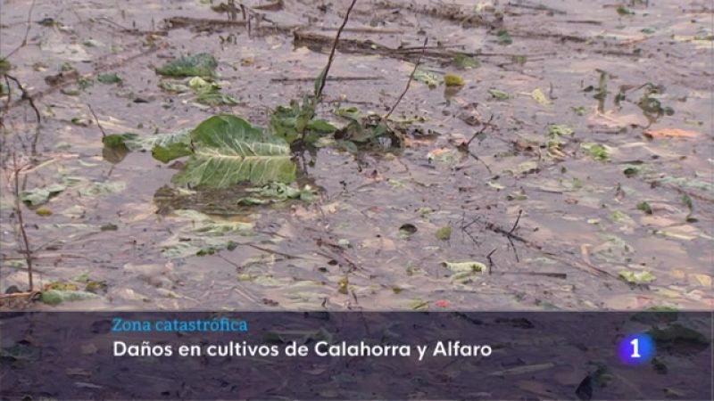 Informativo Telerioja 2 - 13/12/21  - Ver ahora