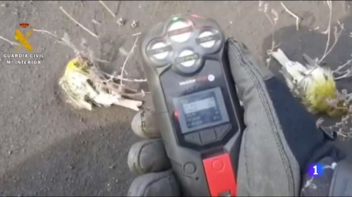 Telecanarias - Telecanarias - 13/12/2021