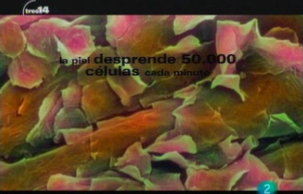 tres14 - Y además