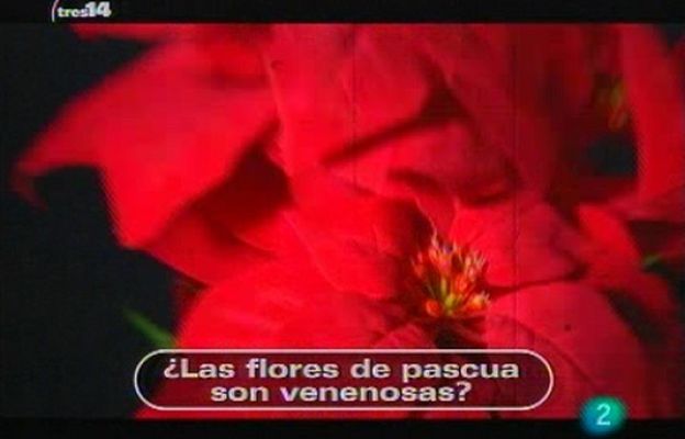tres14 - Curiosidades