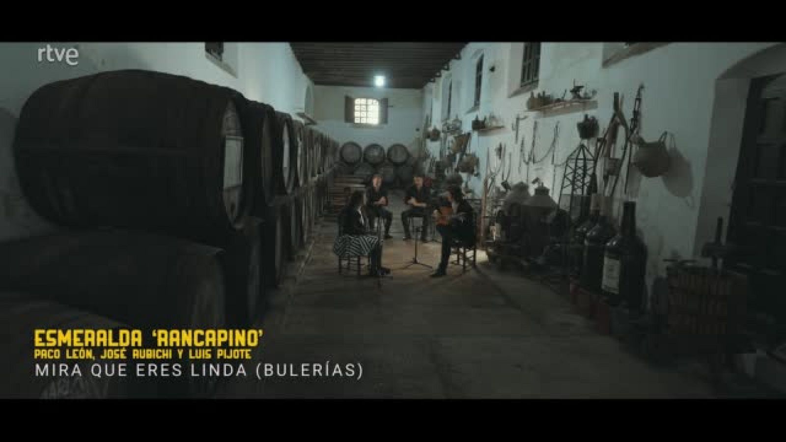 Actuación de Esmeralda Rancapino en el primer capítulo de 'caminos del flamenco' dedicado a Cádiz y sus puertos