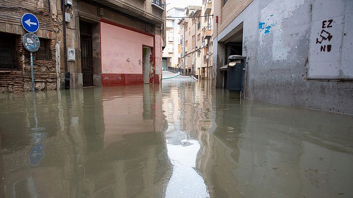 Diario 24 - Diario 24 - 14/11/21 (2)