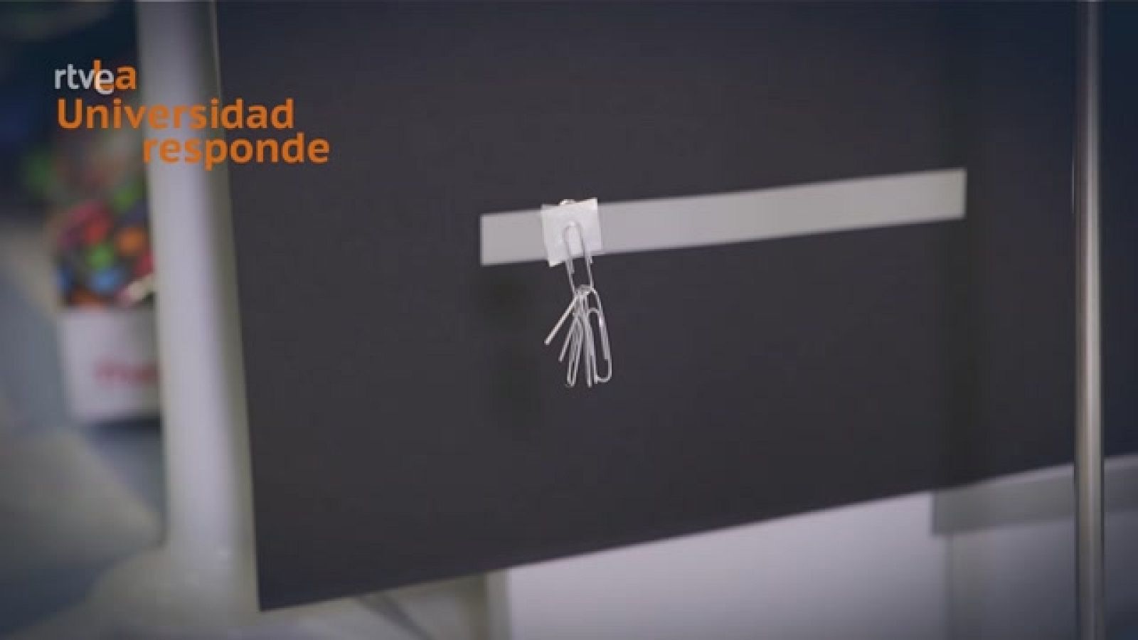 La aventura del saber - ¿Cuánto peso puede soportar el hilo de araña? - Ver ahora