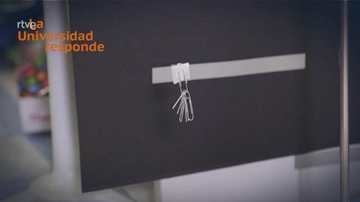 La aventura del Saber - ¿Cuánto peso puede soportar el hilo de araña?